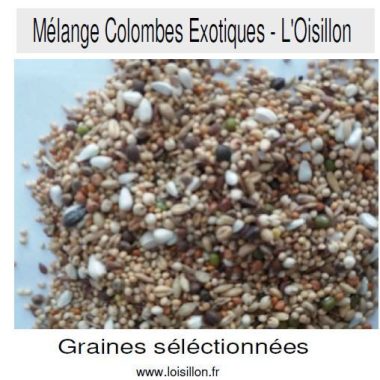 Melange-Colombe-Exotiques-Loisillon.jpg