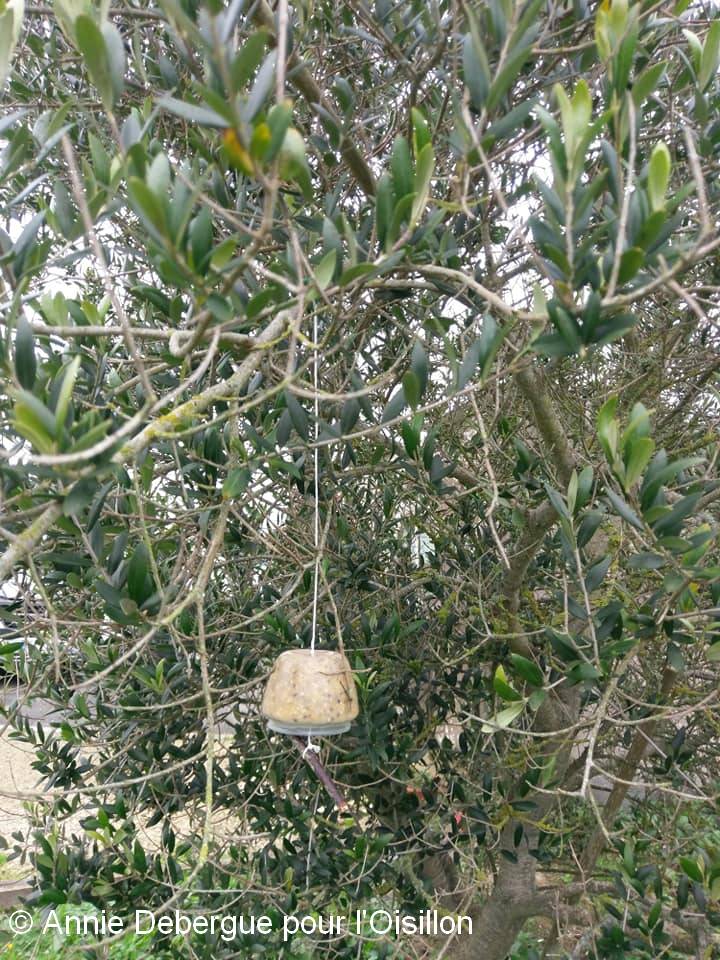 Vizirette remplies suspendue sur arbre