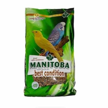 Best Graines de santé Manitoba