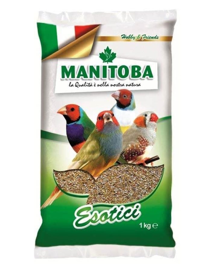 Manitoba Esotici