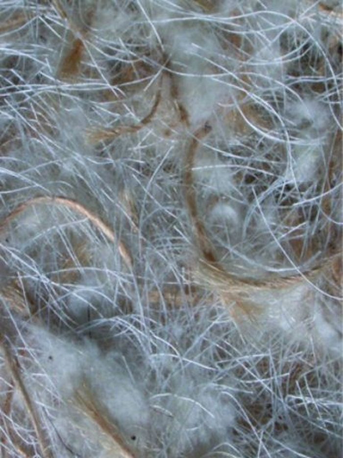 Bourre coton jute-fibre de coton
