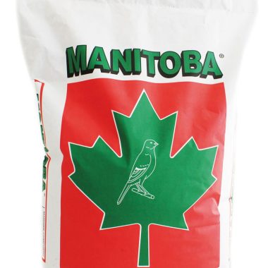 Manitoba CANARINI T3