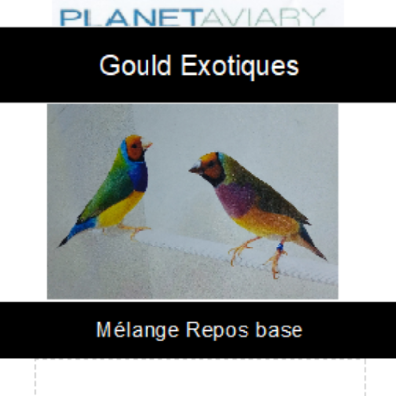 Melange-Graines-Gould-Austerite9.jpg