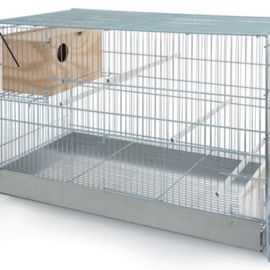 Cage pour oiseaux inséparables